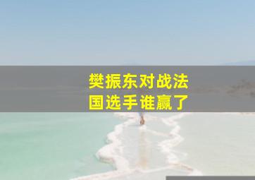 樊振东对战法国选手谁赢了