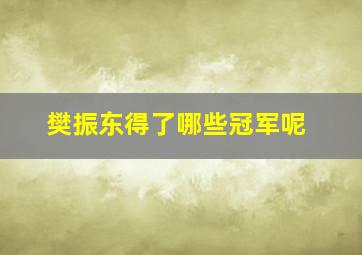 樊振东得了哪些冠军呢