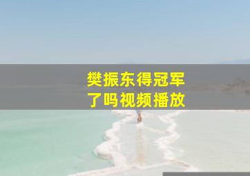 樊振东得冠军了吗视频播放