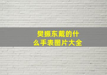 樊振东戴的什么手表图片大全