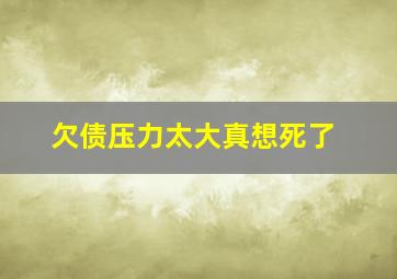 欠债压力太大真想死了