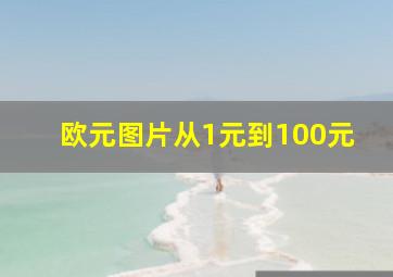 欧元图片从1元到100元