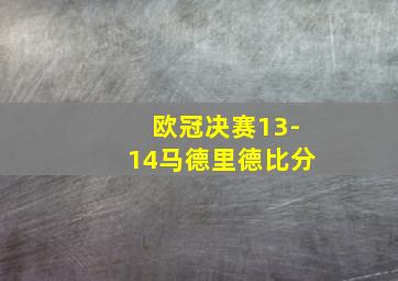 欧冠决赛13-14马德里德比分