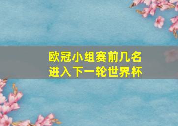 欧冠小组赛前几名进入下一轮世界杯