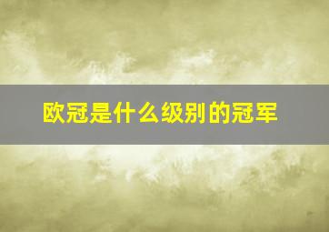 欧冠是什么级别的冠军