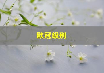 欧冠级别