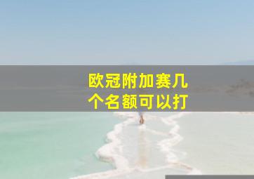 欧冠附加赛几个名额可以打