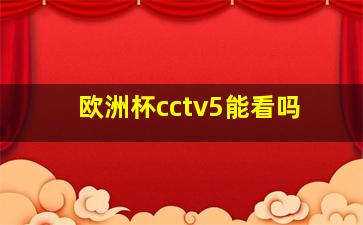 欧洲杯cctv5能看吗