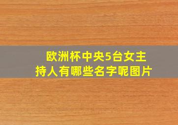 欧洲杯中央5台女主持人有哪些名字呢图片