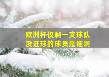 欧洲杯仅剩一支球队没进球的球员是谁啊