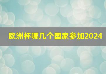 欧洲杯哪几个国家参加2024