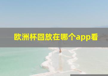 欧洲杯回放在哪个app看