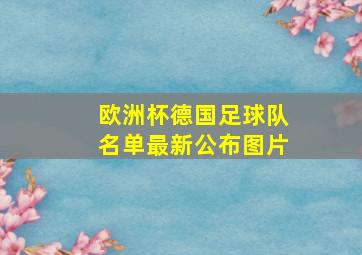 欧洲杯德国足球队名单最新公布图片