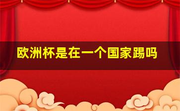 欧洲杯是在一个国家踢吗