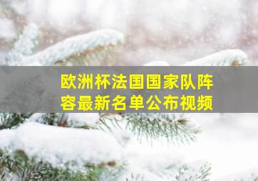 欧洲杯法国国家队阵容最新名单公布视频