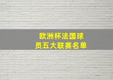 欧洲杯法国球员五大联赛名单