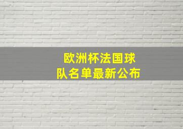 欧洲杯法国球队名单最新公布