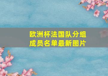 欧洲杯法国队分组成员名单最新图片