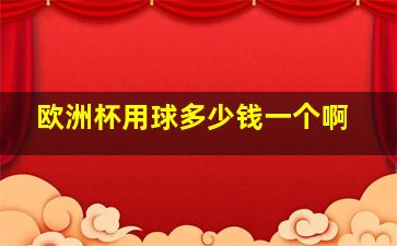 欧洲杯用球多少钱一个啊