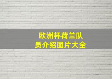 欧洲杯荷兰队员介绍图片大全