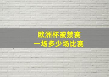 欧洲杯被禁赛一场多少场比赛