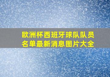 欧洲杯西班牙球队队员名单最新消息图片大全