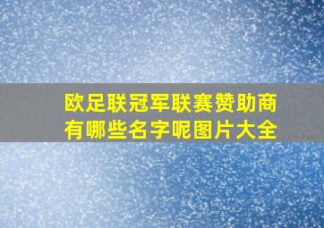 欧足联冠军联赛赞助商有哪些名字呢图片大全