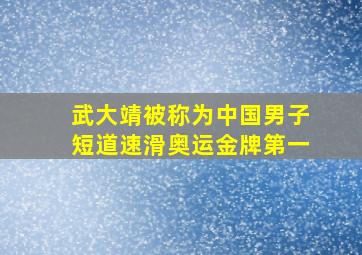 武大靖被称为中国男子短道速滑奥运金牌第一