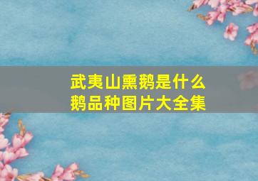 武夷山熏鹅是什么鹅品种图片大全集