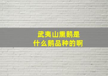 武夷山熏鹅是什么鹅品种的啊