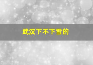 武汉下不下雪的