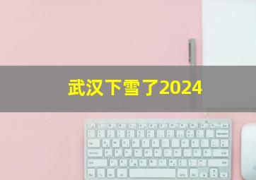 武汉下雪了2024