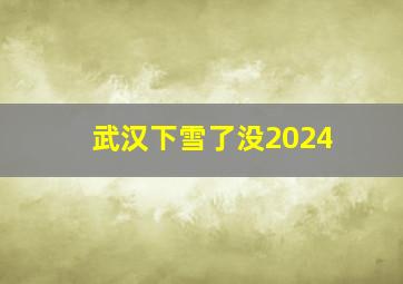 武汉下雪了没2024