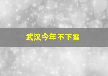 武汉今年不下雪