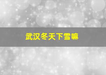 武汉冬天下雪嘛