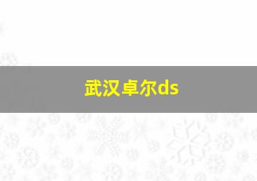 武汉卓尔ds