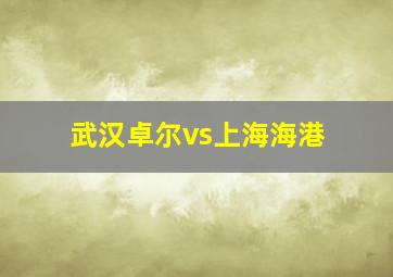 武汉卓尔vs上海海港