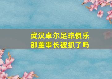 武汉卓尔足球俱乐部董事长被抓了吗