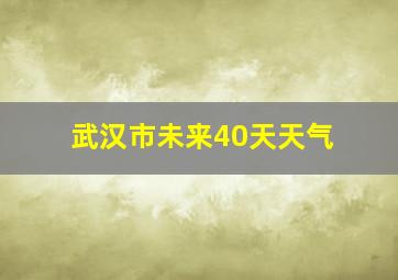 武汉市未来40天天气