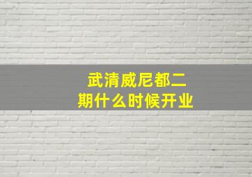 武清威尼都二期什么时候开业