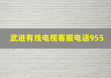 武进有线电视客服电话955