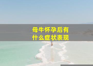 母牛怀孕后有什么症状表现