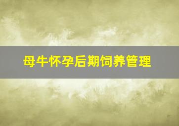 母牛怀孕后期饲养管理