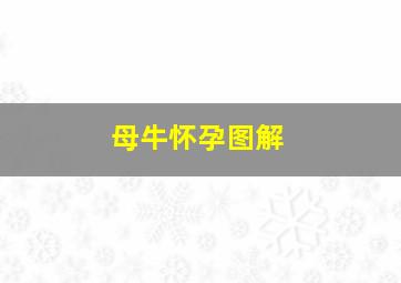 母牛怀孕图解