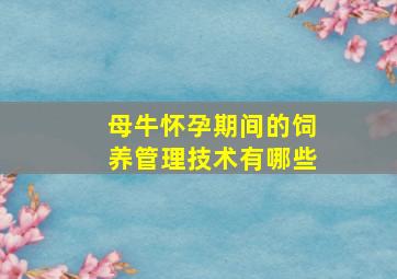 母牛怀孕期间的饲养管理技术有哪些