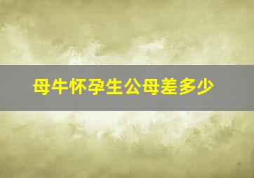 母牛怀孕生公母差多少