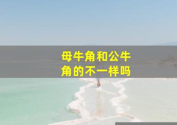 母牛角和公牛角的不一样吗