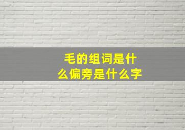 毛的组词是什么偏旁是什么字