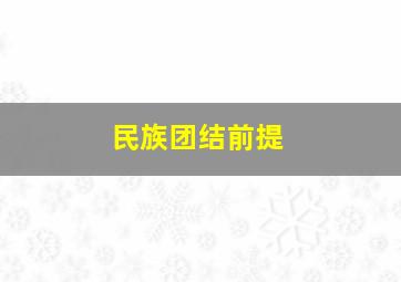 民族团结前提