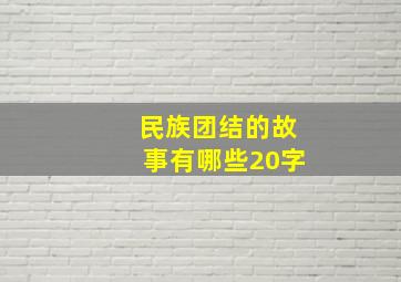 民族团结的故事有哪些20字